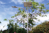 Solar Street Lights For Villages